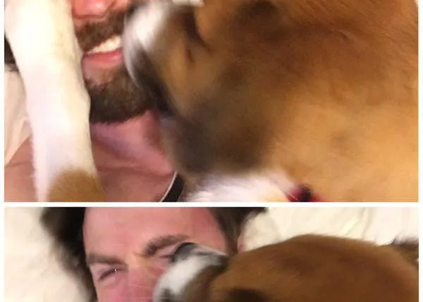 Los amores perros de Chris Evans: así ha sido la feliz y besucona reunión con su can tras 10 semanas separados