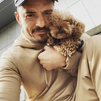 Orlando Bloom desolado por la pérdida de Mighty, su perro …