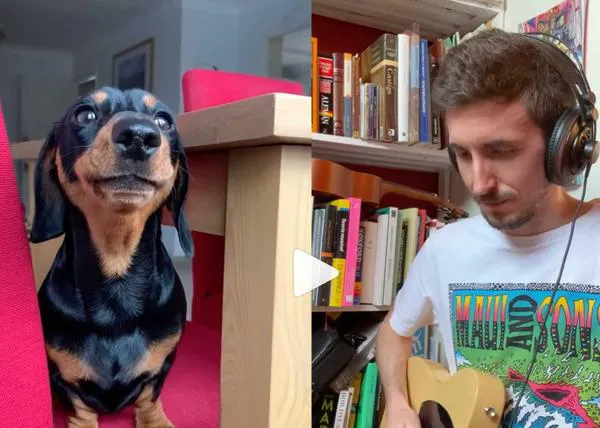 Prexton, el músico que se inspira en las serenatas de perros, gatos y otros animales para crear baladas fabulosas