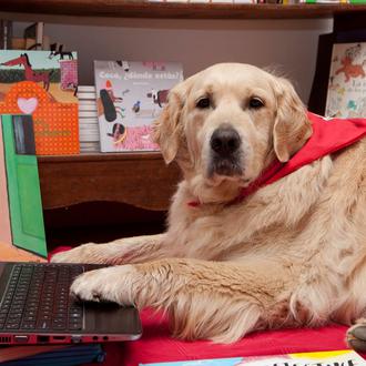 Profesores perros, también a través de una pantalla: la lectura …