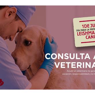 1 de junio: Día para la prevención de la leishmaniosis …
