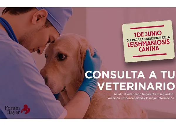 1 de junio: Día para la prevención de la leishmaniosis canina