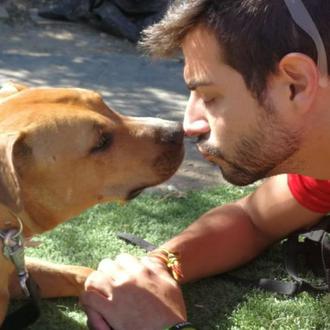 La feliz adopción de una perra potencialmente perfecta tras meses …