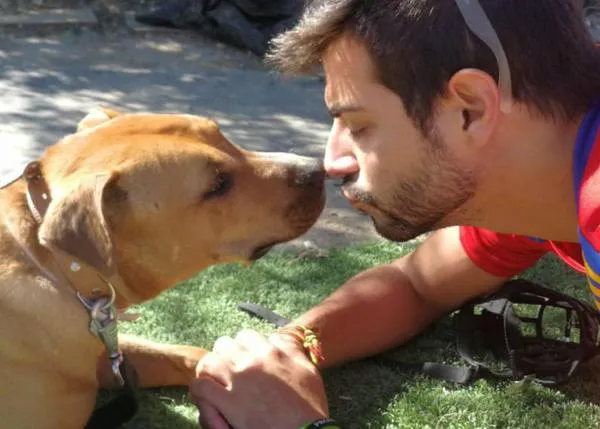 La feliz adopción de una perra potencialmente perfecta tras meses de trabajo, cariño y paciencia