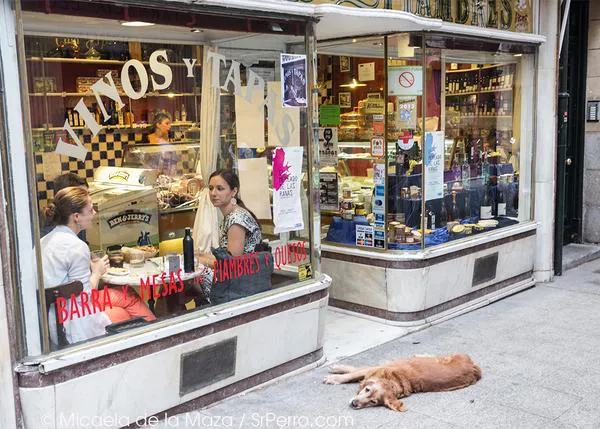 Madrid Dog Friendly: the top 100 addresses to enjoy the city with your pup
