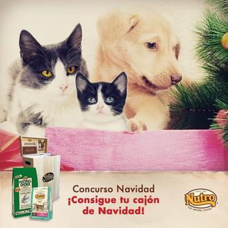 #NavidadConMiPerro: comparte fotos y consigue premios de Nutro