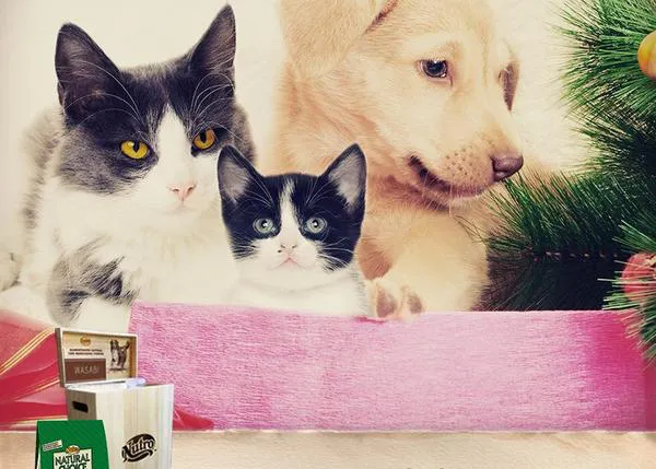 #NavidadConMiPerro: comparte fotos y consigue premios de Nutro