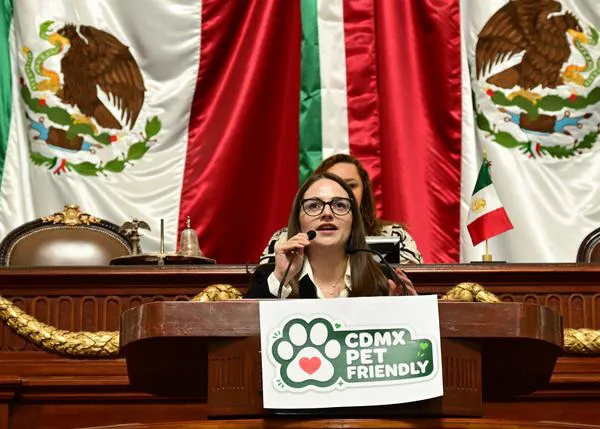 Ciudad de México regula el sector pet friendly: no se podrá cobrar extra por admitir animales de familia