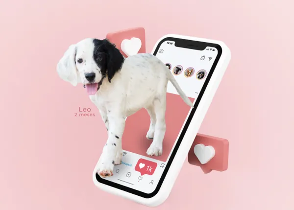 AUPA y Bioparc Valencia organizan un desfile virtual de perros en adopción el 22 de junio