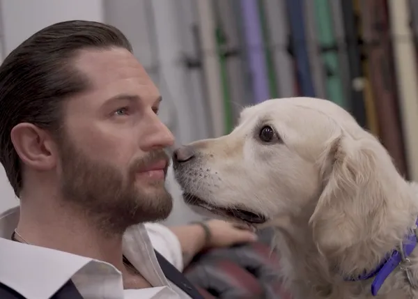 Los perros y Tom Hardy, un amor que va más allá de lo real :-)