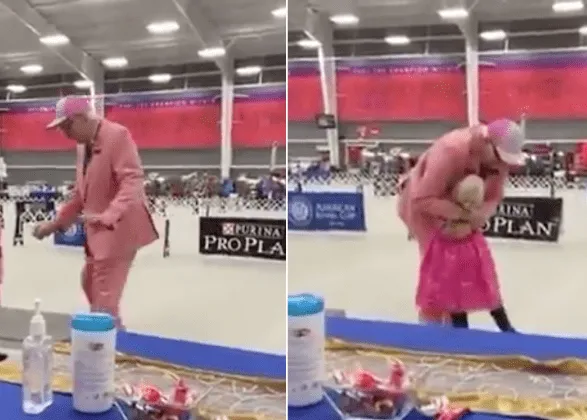 El momento en el que un perro de peluche se convirtió en la estrella de una competición canina