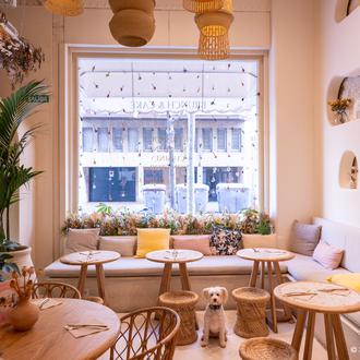 De Brunch en Barcelona con perro: 20 lugares para disfrutar …