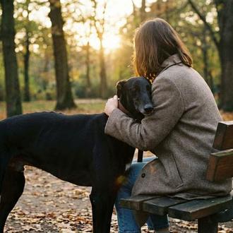 En peligro la defensa penal ante el maltrato o el …