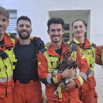 Los Bomberos de Valencia logran rescatar a un pequeño perro …
