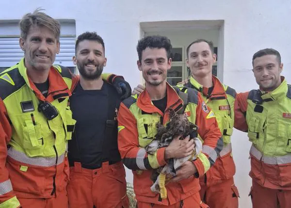 Los Bomberos de Valencia logran rescatar a un pequeño perro que había quedado atrapado en un desagüe