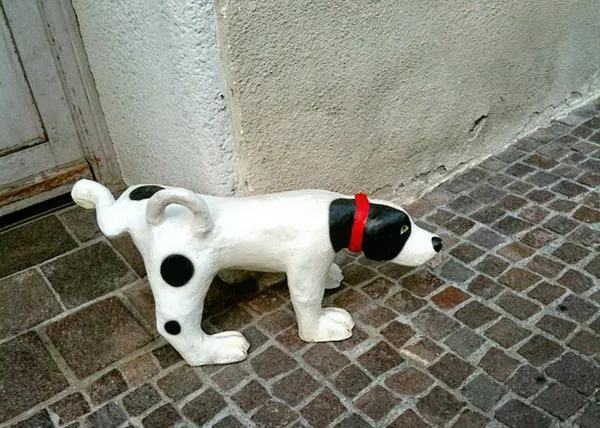 El azufre no tiene ningún efecto sobre los pises de los perros