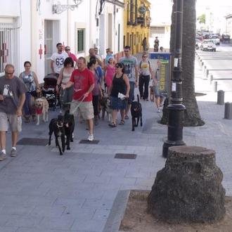 Quedada perruna en El Puerto de Santa María para conseguir …
