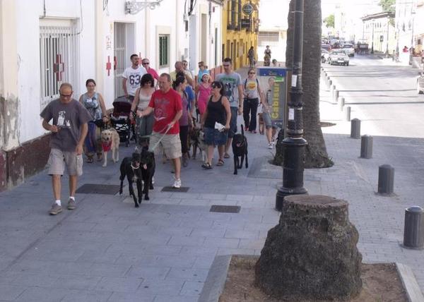 Quedada perruna en El Puerto de Santa María para conseguir parques caninos