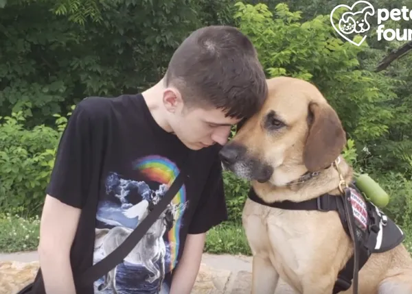 El mayor aliado de un adolescente con tetraplejía en su lucha por volver a andar, su perro adoptado