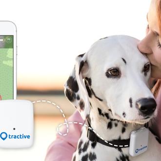 La tecnología que une perros y humanos en tiempo real …