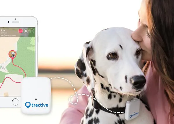 La tecnología que une perros y humanos en tiempo real: Tractive GPS