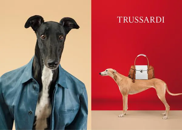 Los galgos fashionistas de William Wegman para Trussardi