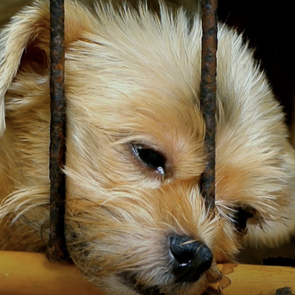 #NoTengoPrecio: recogida de firmas para pedir al Gobierno que se …