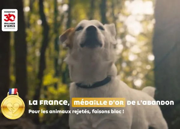 Aún no han comenzado los Juegos Olímpicos de París pero ya han entregado la medalla de oro... al abandono de perros