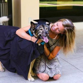La universidad más pet friendly de EEUU, ¡hay hasta ceremonia …