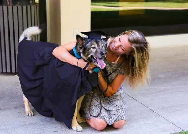 La universidad más pet friendly de EEUU, ¡hay hasta ceremonia de graduación para los animales!
