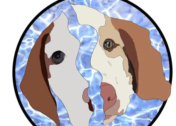 La fiscalía pide 8000 € de fianza y dos años de prisión por (presuntamente) matar a sus perros adoptados