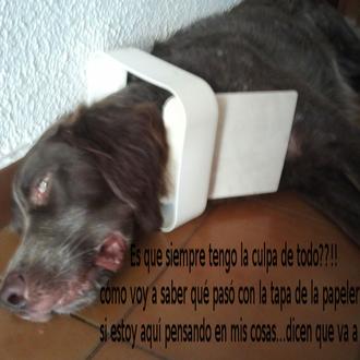 Confesiones perrunas II: relatos de travesuras y trastadas caninas