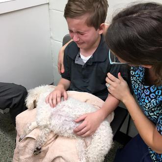 Un niño adoptado ofrece una enorme lección de amor al …