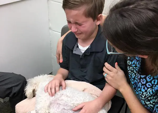Un niño adoptado ofrece una enorme lección de amor al despedirse de su perra viejita