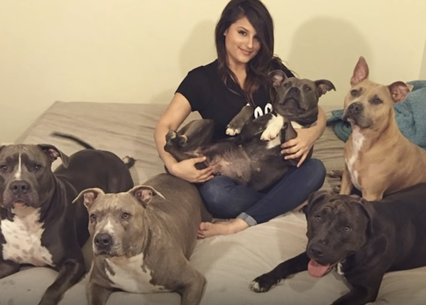 Una casa llena de perros felices: la vida de una 