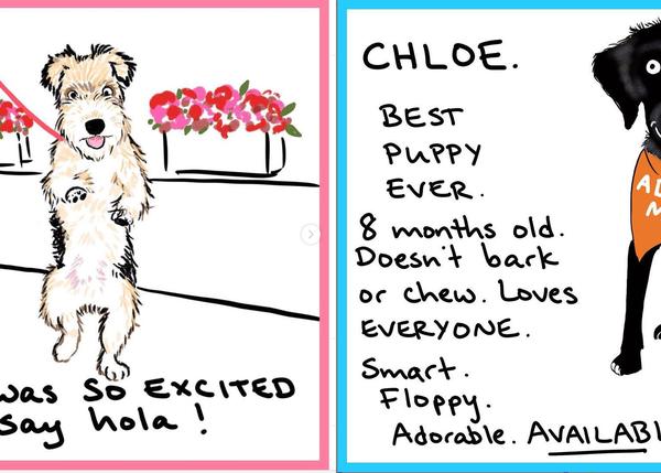 Dibujos cotidianos de perros reales que alegran el día (y fomentan la adopción): los canes vistos por Monica Martino