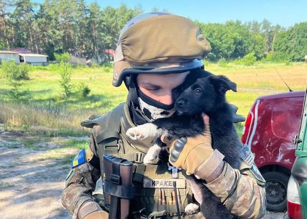 Los soldados ucranianos también cuidan a los perros y gatos que han quedado desamparados (y cómo seguir ayudando)