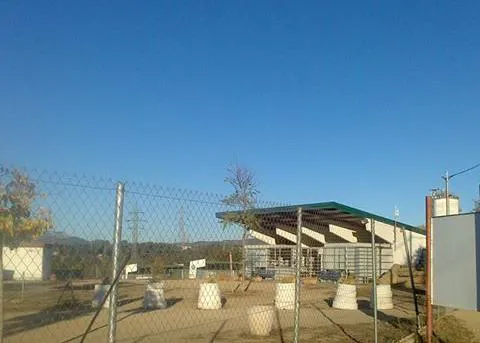 Dos perros muertos y otros heridos tras entrar varias personas de madrugada en el CAAD de Terrassa
