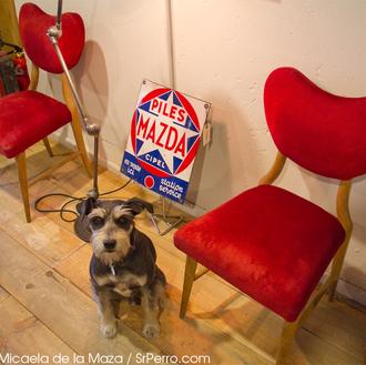 Especial decoración: 10 tiendas con mucho estilo, en Madrid, en …