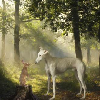 La adopción de una Galga que ha inspirado un cambio …