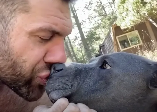 La cara y cruz de ser rescatador en serie de perros: bienvenidas y despedidas inolvidables