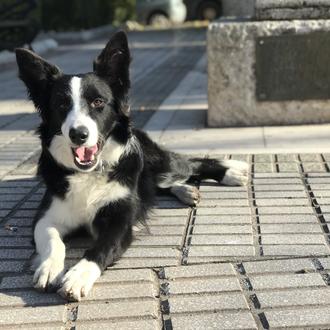 Air France y Delta dejan en el limbo a una …