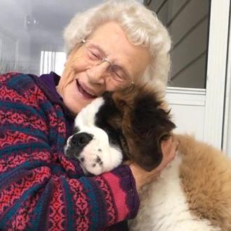 Una anciana recupera la sonrisa gracias al (gran) cachorro de …