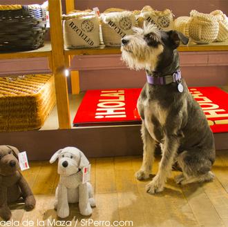 De paseo por Vinçon, posiblemente la tienda más perruna de …