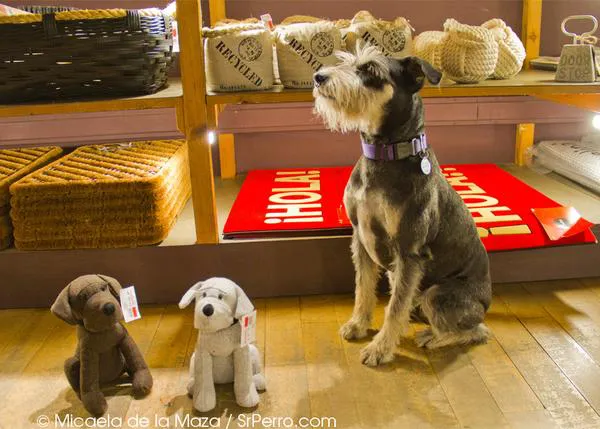 De paseo por Vinçon, posiblemente la tienda más perruna de España