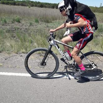 Un equipo de ciclistas rescata a un perro abandonado y …