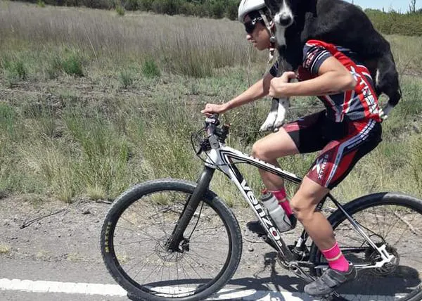 Un equipo de ciclistas rescata a un perro abandonado y sediento, ¡llevándolo a cuestas!