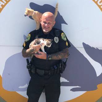 La policía permite pagar las multas de tráfico ¡donando comida …