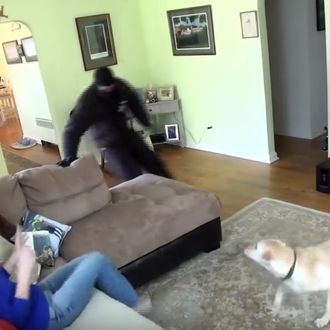 ¿Tu esperas que tu perro se transforme en un perro …