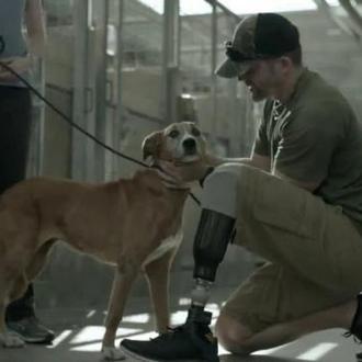 El poder de los perros para enseñarnos a vivir: un …